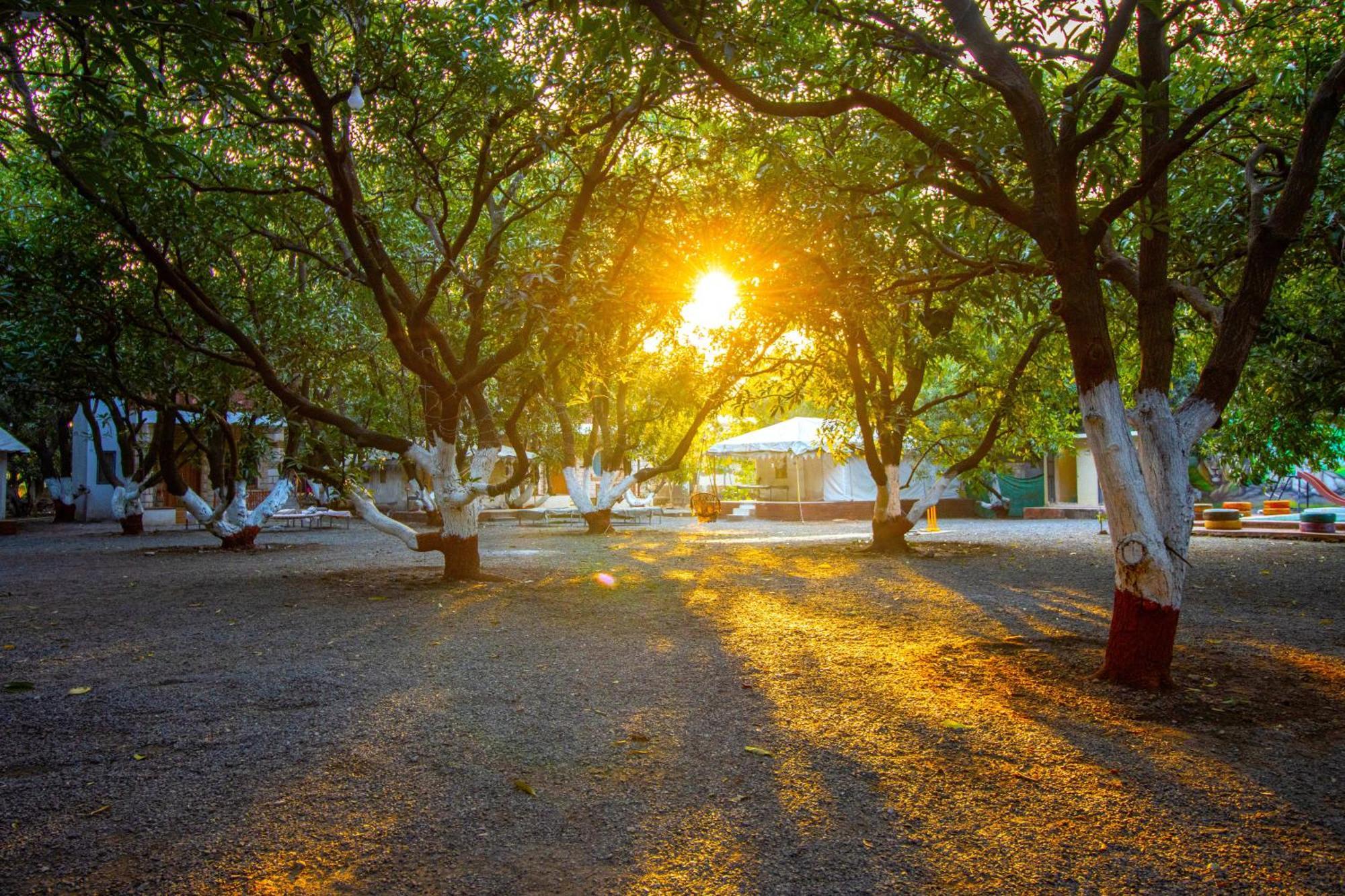 Brook Ville Sasan Gir Exterior photo