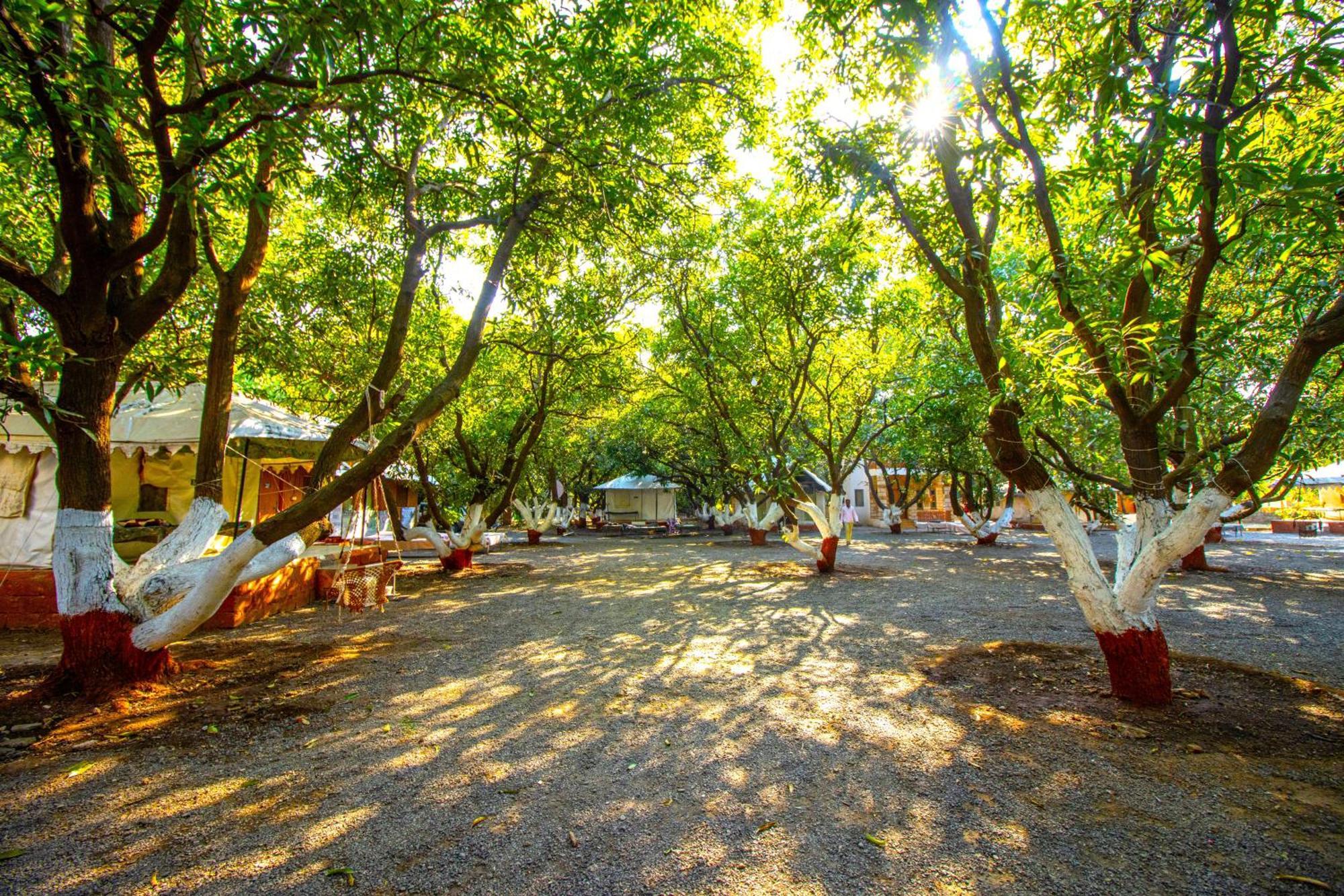 Brook Ville Sasan Gir Exterior photo