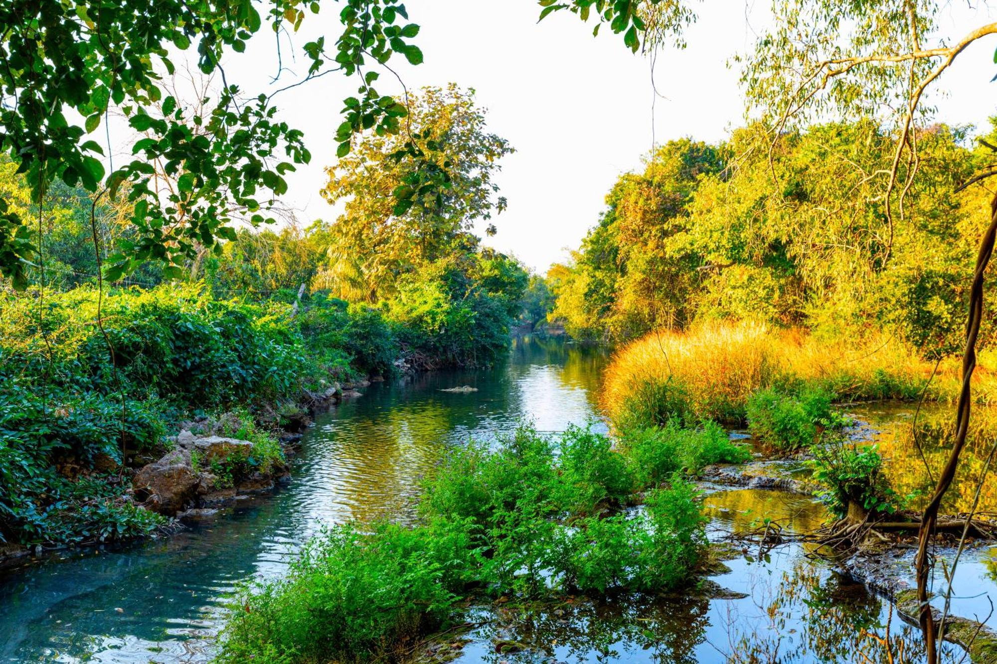Brook Ville Sasan Gir Exterior photo