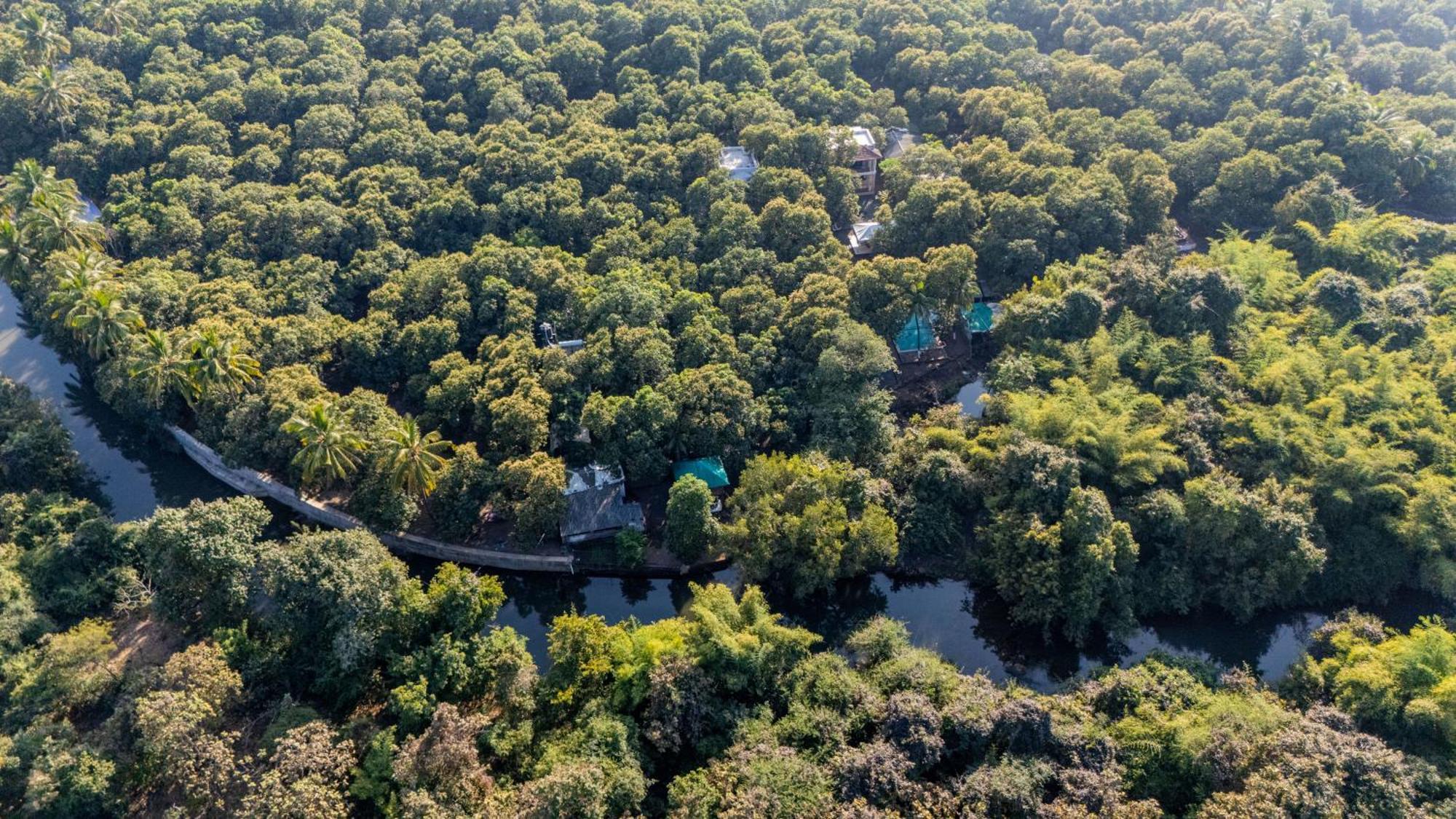 Brook Ville Sasan Gir Exterior photo